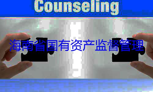 有福接受审委副书记王查调查资产监督管理委员会党海南省国有