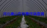 河北唐山在销售终端直播食品生产全过程