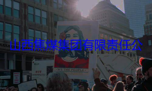 团有限责任查公司原副总山西焦煤集经理杨新华接受审查调